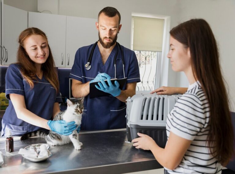 Understanding Mikoplazmos in Pets: Symptoms, Treatment, and Prevention